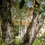 Maison Casa Lavanda * Bellagio