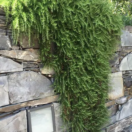 Lejlighed Maison Casa Lavanda *