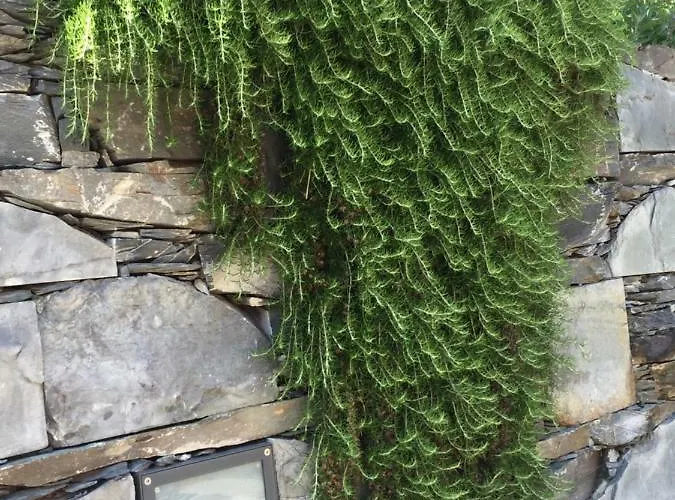 Apartment Maison Casa Lavanda *